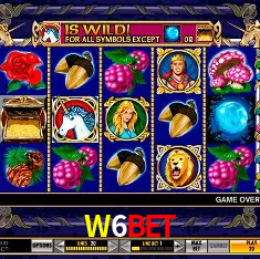 W6BET Salvador - Bonus Stats